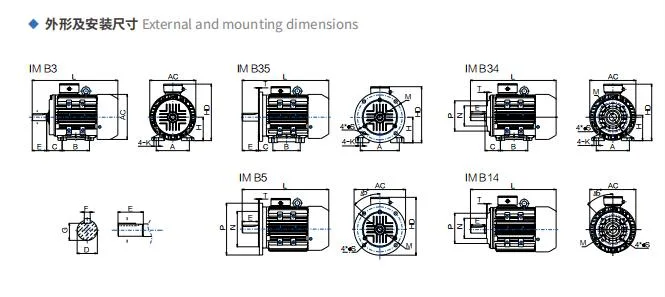 IC416 Ms Series Aluminium Housing Variable Frequency Motor Induction Motor