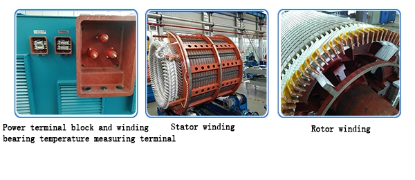 Good Quality Medium and High Voltage Wound Rotor Slip Ring AC Motor