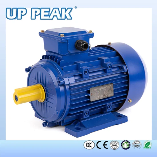 Y2, Ye2, Y3, Ye3 Series Cast Iron Three Phase AC Induction Electric Asynchronous Motor