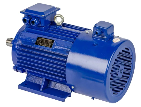 Ye3 Series Preminum IEC Standard Three Phase Asynchronous Induction Electric Motor