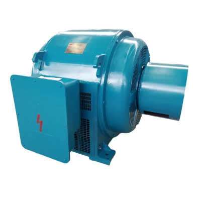 High Voltage Jr Series Jr1510-8-475kw Motor