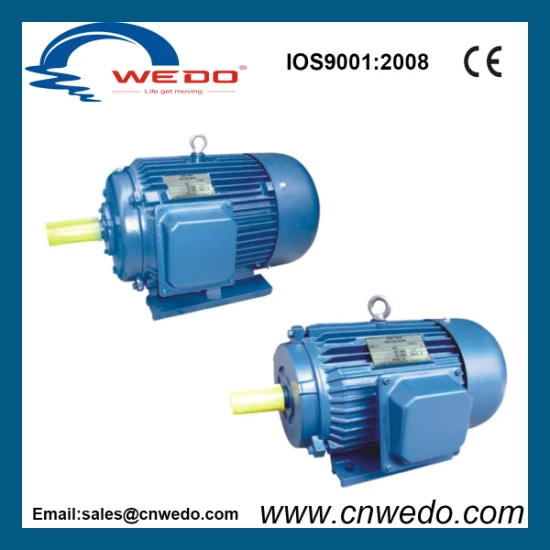 Y2 Series Three-Phase Electric Asynchronous Motor (0.12~315KW)