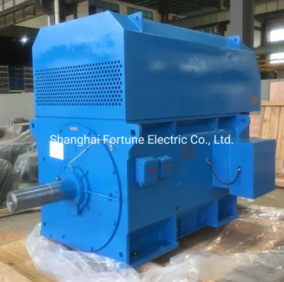 Y Y2 Yks Ykk Series High Voltage Three Phase Induction Squirrel Cage Motor