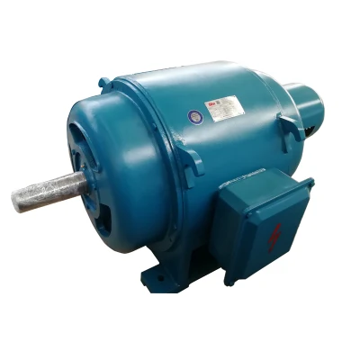 Wound Rotor Slip Ring Low Voltage Jr Series Three Phase Inductionac Motor for Mill Motor