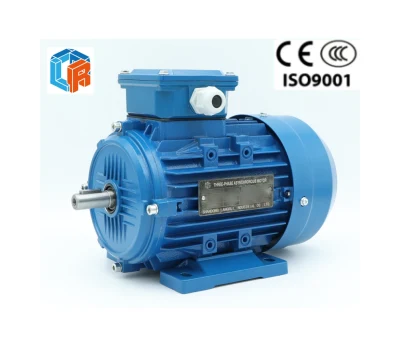 Y2, Ye2, Y3, Ye3 Series Cast Iron Three Phase AC Induction Electric Asynchronous Motor