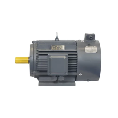 Yvf Series High Performance Frequency 380V-1140V Asynchronous Motor