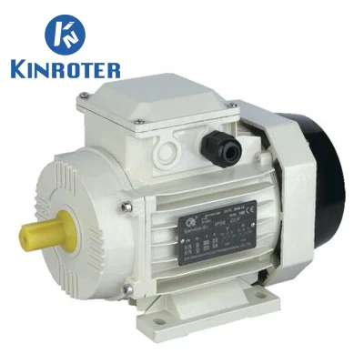 Ms /Ys/Ye2 Series Aluminium High Efficiency Three Phase Asynchronous Motor