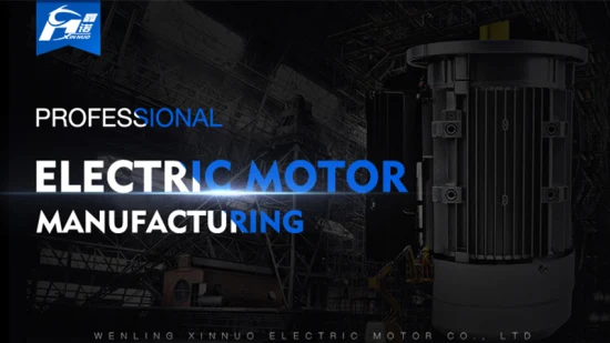 Y2 Series B5 Flange Three-Phase Motor