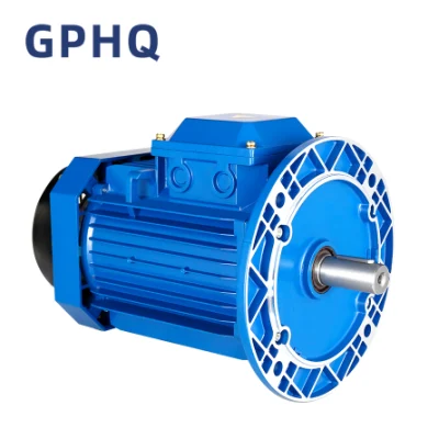 Gphq CE Approved Ms Series Alu Body Electric Motor AC Motor Electrical Motor