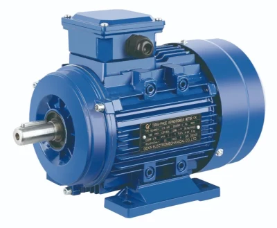 CE Approved Ie2 Efficiency 0.75kw 1500rpm Ms Series AC Electric Motor