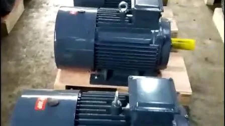 Y2 Series S1 Three Phase Induction Motor Induction Asynchronous Motor