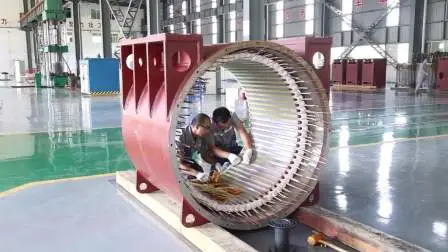 Asynchronous Three Phase Electric High Voltage Motor for Cement Plant